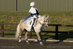 Collecting Ring Fancy Dress!